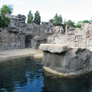 Pinniped Point - California Sea Lion Exhibit 2