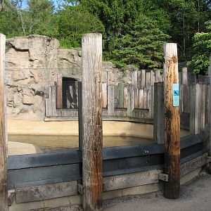 Pinniped Point - California Sea Lion and Gray Seal Exhibit