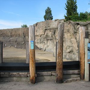 Pinniped Point - Gray Seal Exhibit