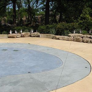 The Living Coast - Splash Play Area