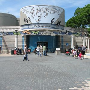 The Living Coast - Exterior