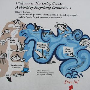 The Living Coast - Map