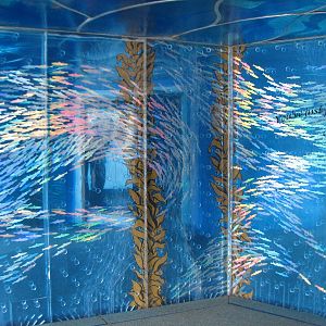 The Living Coast - Foyer