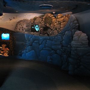 The Living Coast - Entry Hall