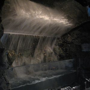 The Living Coast - Wave Exhibit