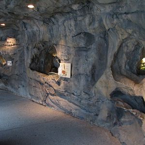 The Living Coast - Rocky Shores Small Exhibits