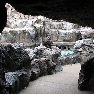 The Living Coast - Rocky Shores Bird Exhibit Entrance