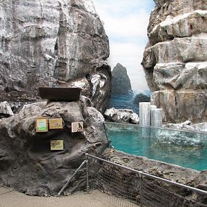 The Living Coast - Rocky Shores Bird Exhibit
