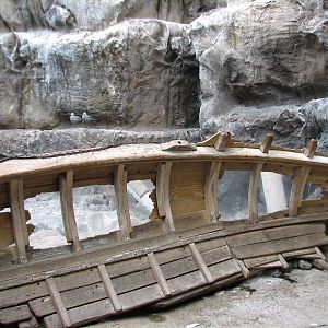 The Living Coast - Rocky Shores Bird Exhibit