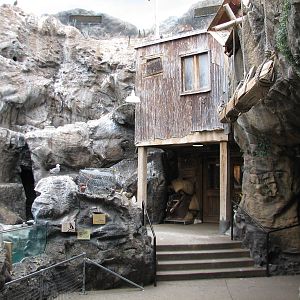 The Living Coast - Rocky Shores Bird Exhibit