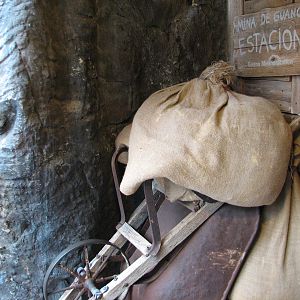 The Living Coast - Rocky Shores Bird Exhibit