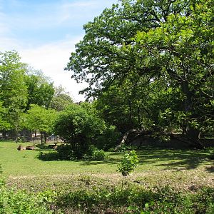 Habitat Africa! The Savannah - Warthog, Ostrich, and Waterbuck Exhibit