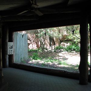 Habitat Africa! The Savannah - African Wild Dog Exhibit Viewing Shelter