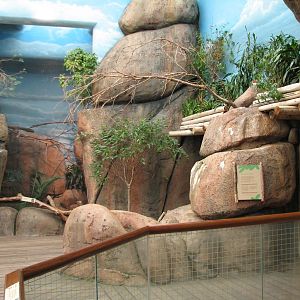 Habitat Africa! The Savannah - Kopje Exhibit Building Interior