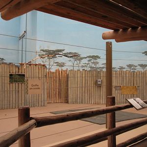 Habitat Africa! The Savannah - Giraffe Bedroom Viewing Area