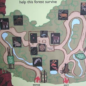 Habitat Africa! The Forest - Map