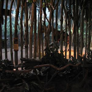 Habitat Africa! The Forest - Okapi Bedroom