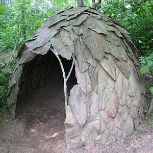 Habitat Africa! The Forest - Mbuti Ways of Knowing Trail