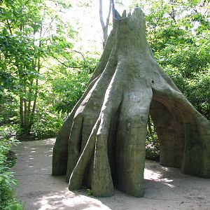 Habitat Africa! The Forest - Mbuti Ways of Knowing Trail