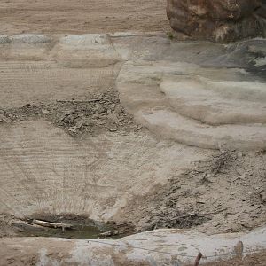 Empty elephant pool 24.6.10