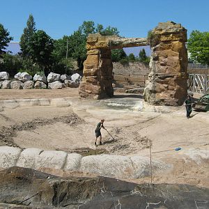 Keepers cleaning the elephant pool 24.6.10