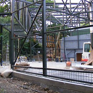 New gorilla extension at Chessington Zoo, 25 June 2010
