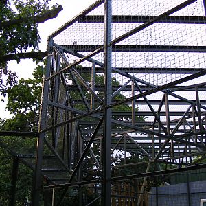New gorilla extension at Chessington Zoo, 25 June 2010