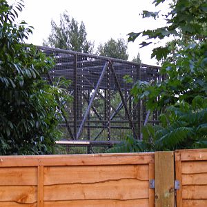 New gorilla extension at Chessington Zoo, 25 June 2010