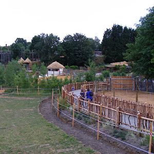 View of Wanyama Village from Wanyama Reserve lookout tower at Chessington Z