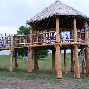 Wanyama Reserve lookout tower at Chessington Zoo, 25 June 2010