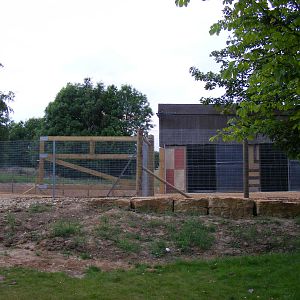 Side of Wanyama Reserve animal housing at Chessington Zoo, 25 June 2010