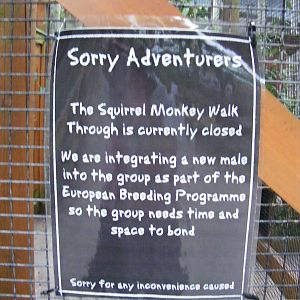 Notice about squirrel monkeys at Chessington Zoo, 25 June 2010