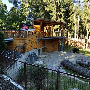 New exhibit for American Black Bears