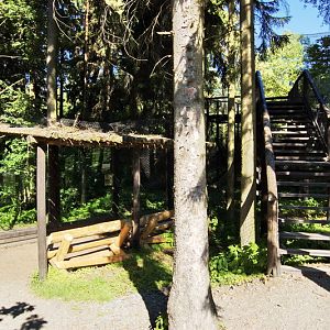 Carpathian Lynx exhibit viewing area