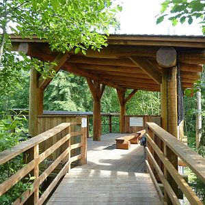 Grizzly Bear/Bald Eagle Viewing Platform