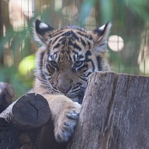 Not quite looking at you