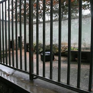 Old Black-bear pit 2007