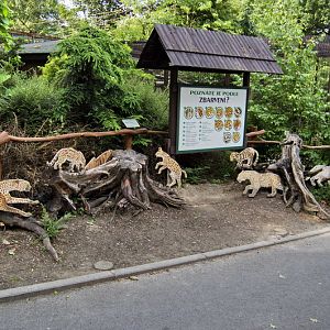 Information panels of cats
