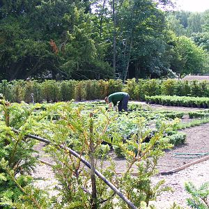 New formal garden at Marwell Wildlife, 27 June 2010