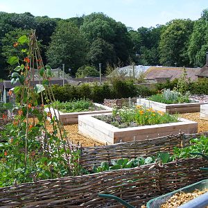 New formal garden at Marwell Wildlife, 27 June 2010