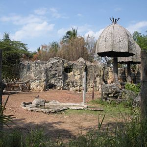 African Exhibit