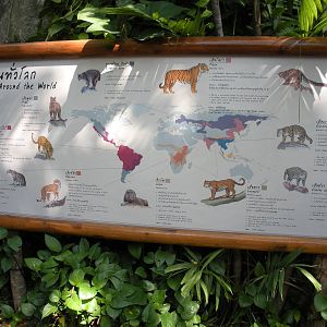 Cats around the World signage