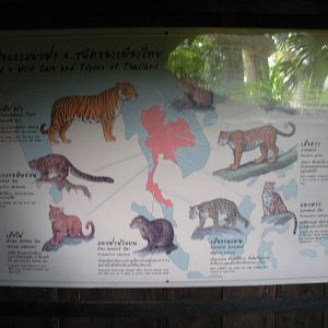 Wild Cats of Thailand signage