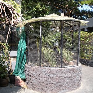 Reptile area