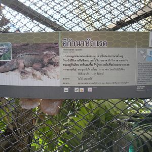 Rhinoceros Iguana signage