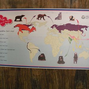 Bears around the World signage