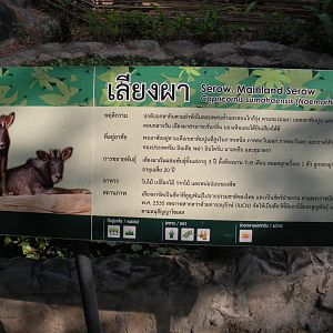 Mainland Serow signage