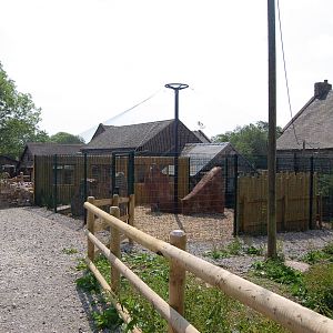 New Snowy Owl Aviary