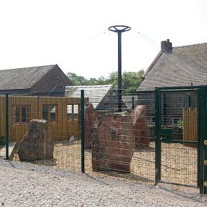 New Snowy Owl Aviary