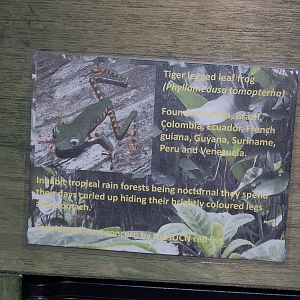 Amphibian Room Example of Signage